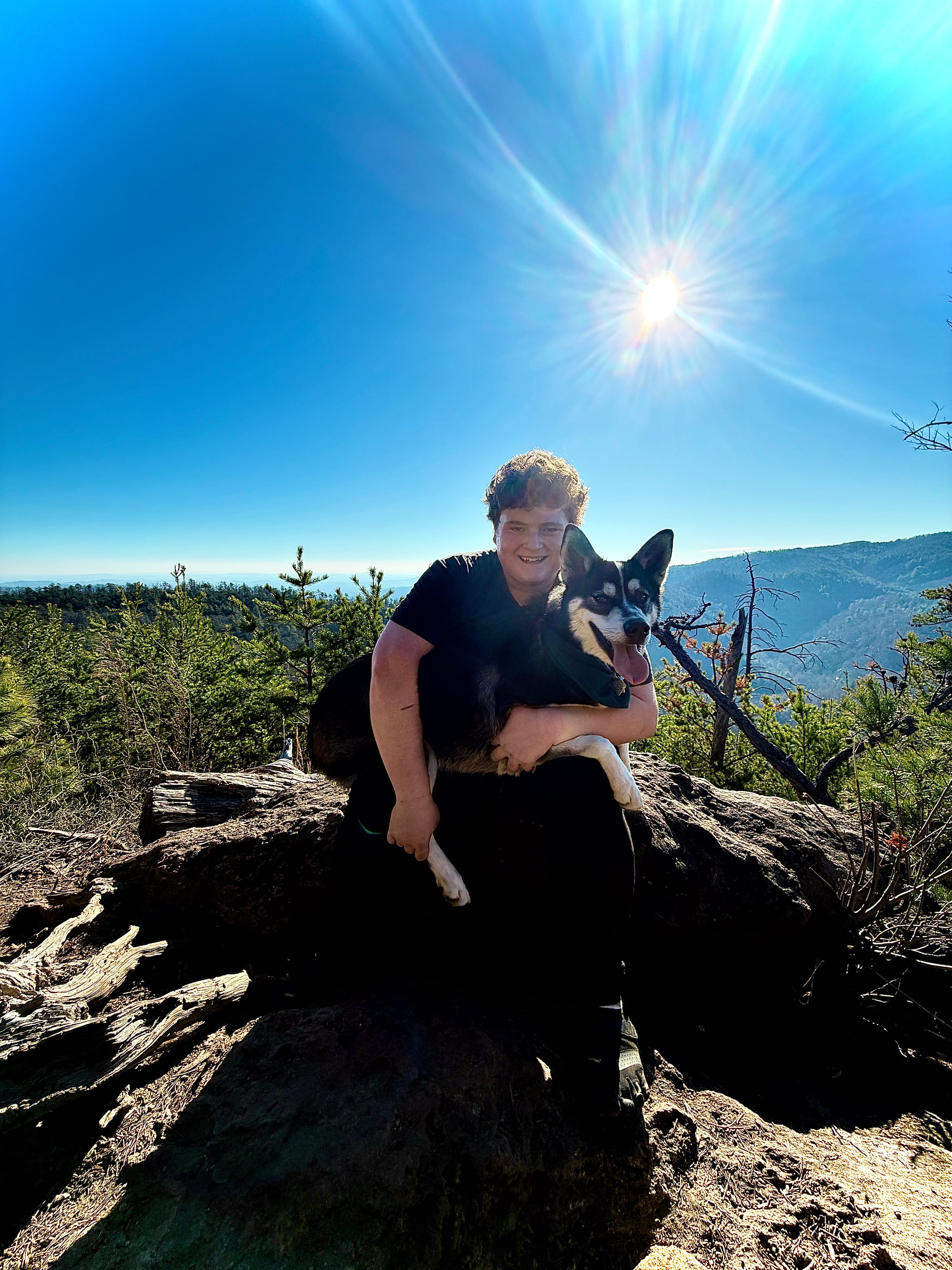 JDP Landscaping owner — Charlotte, NC