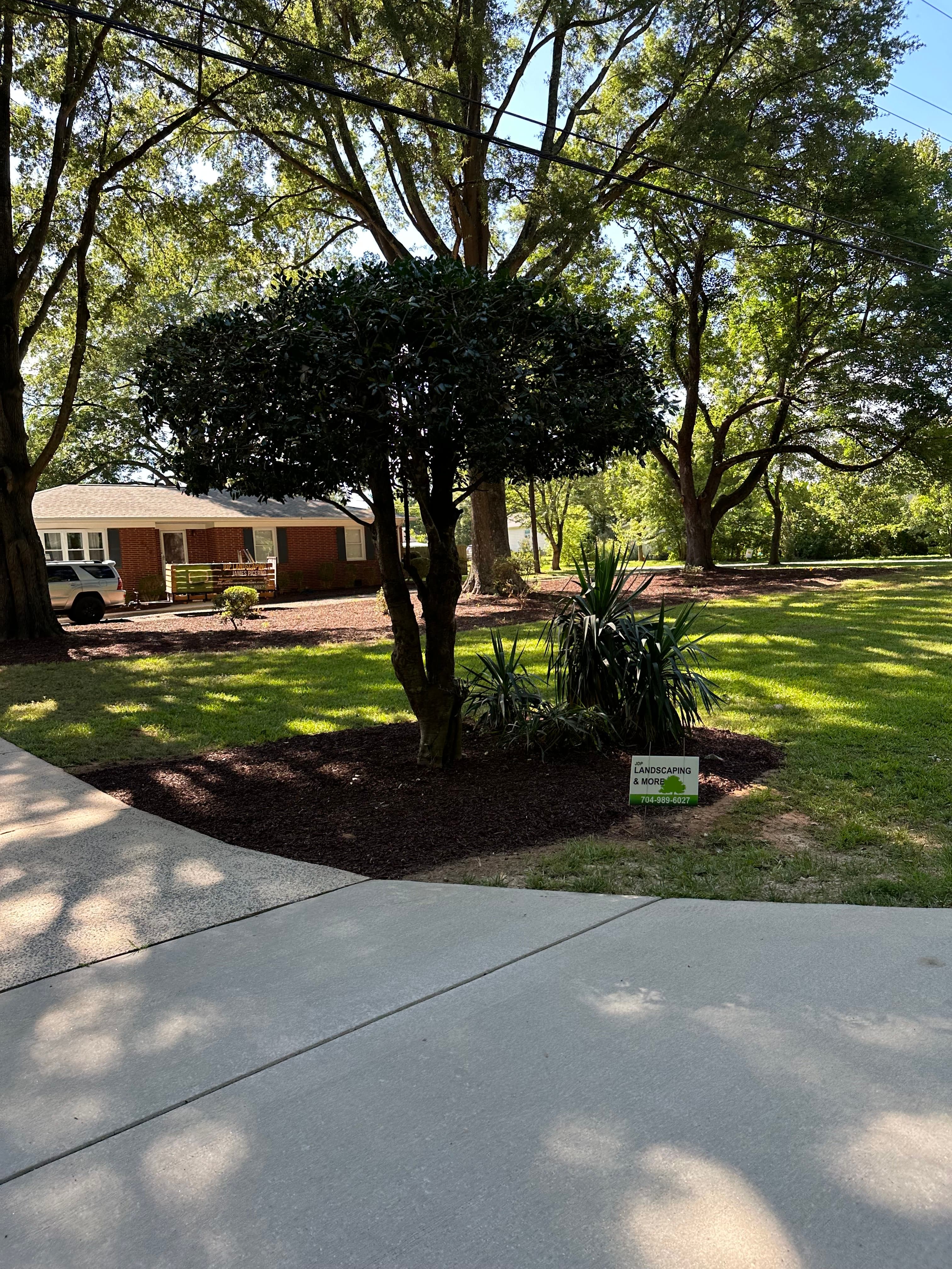 Landscaping & Cleanup after — JDP Landscaping Charlotte NC