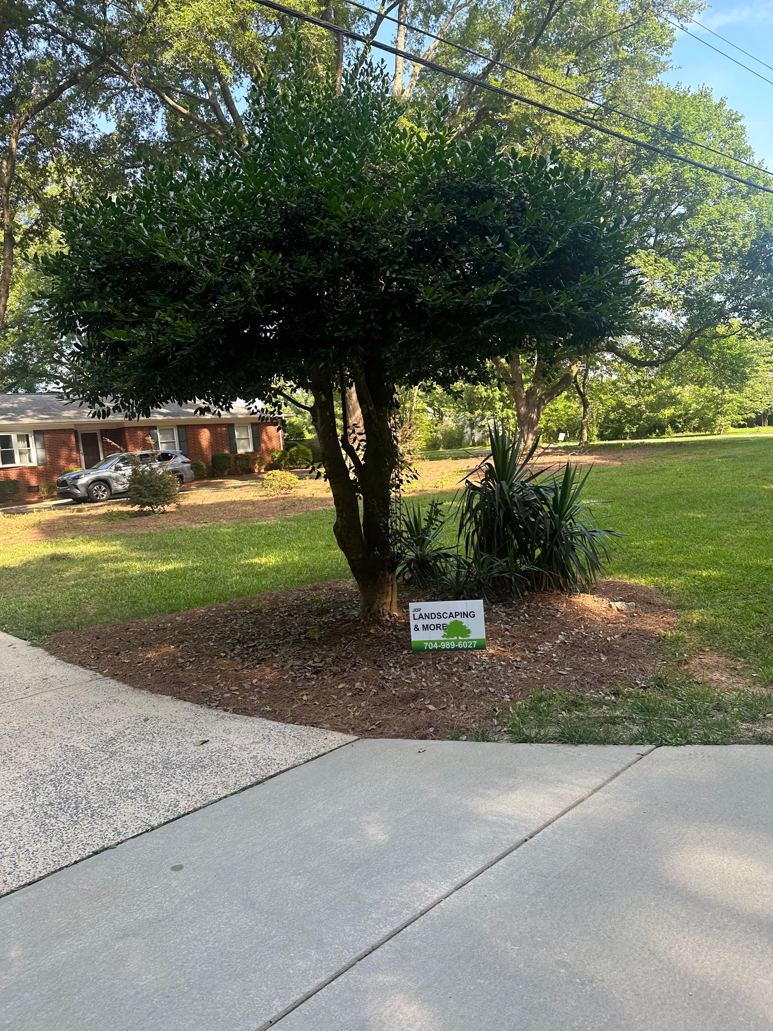 Landscaping & Cleanup before — JDP Landscaping Charlotte NC