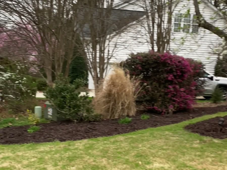 After landscaping — JDP Landscaping Charlotte NC
