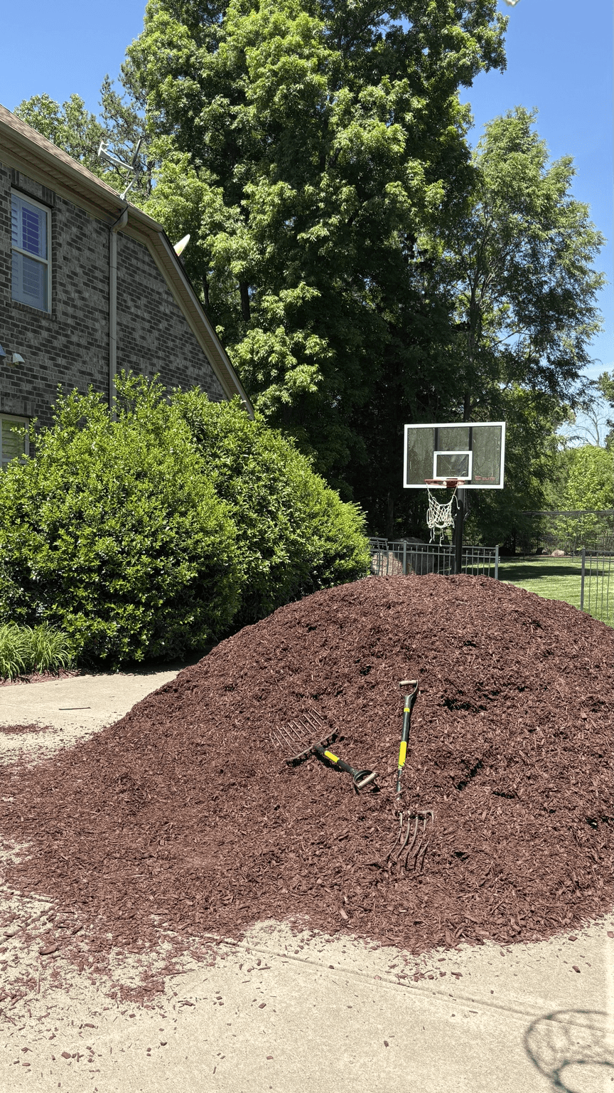 Before mulching project at a Charlotte-area property