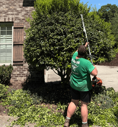 Shrub trimming and shaping — JDP Landscaping Charlotte NC