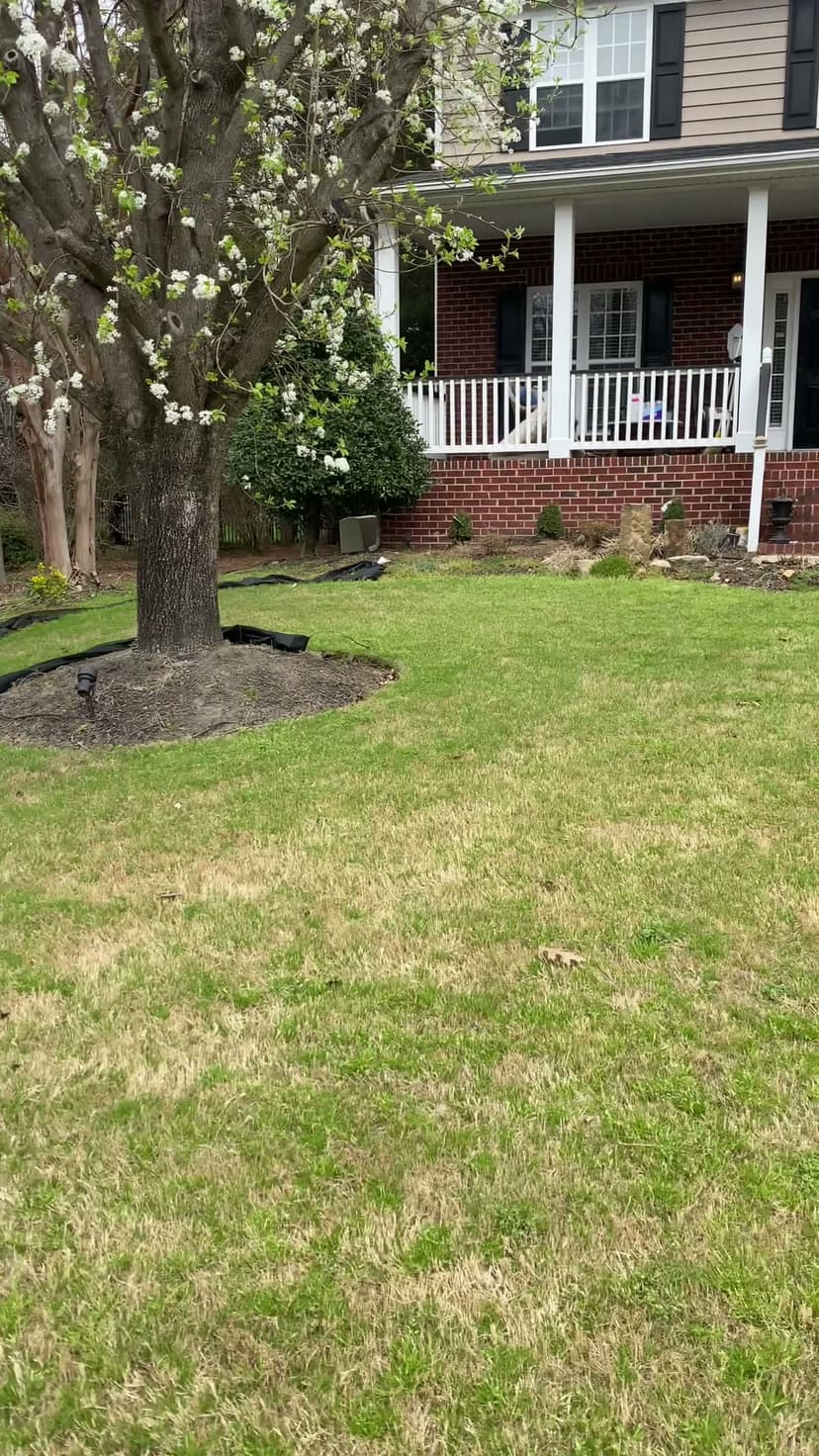 Mulch bed installation and edging — JDP Landscaping Charlotte NC