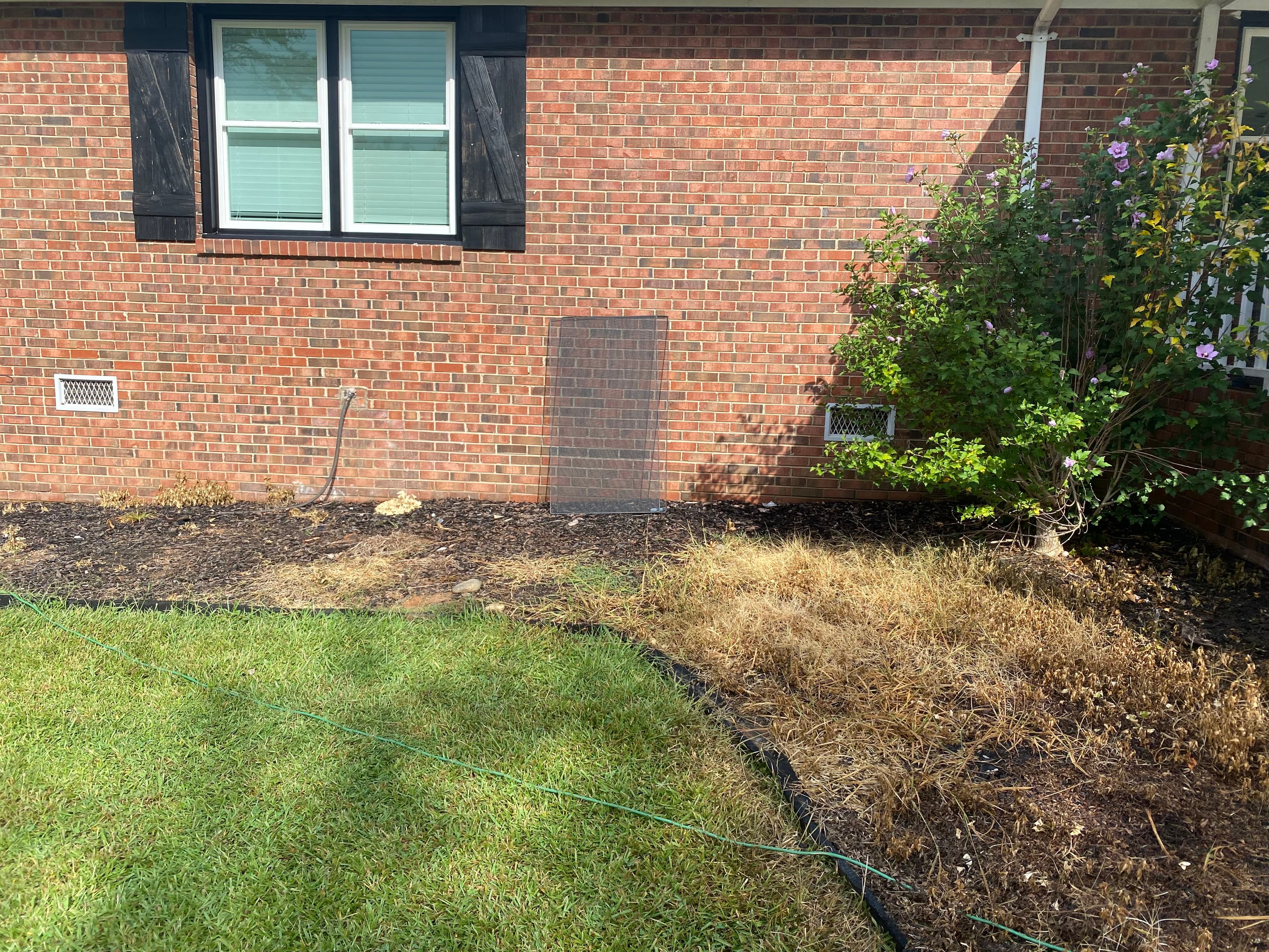 Property Transformation before — JDP Landscaping Charlotte NC