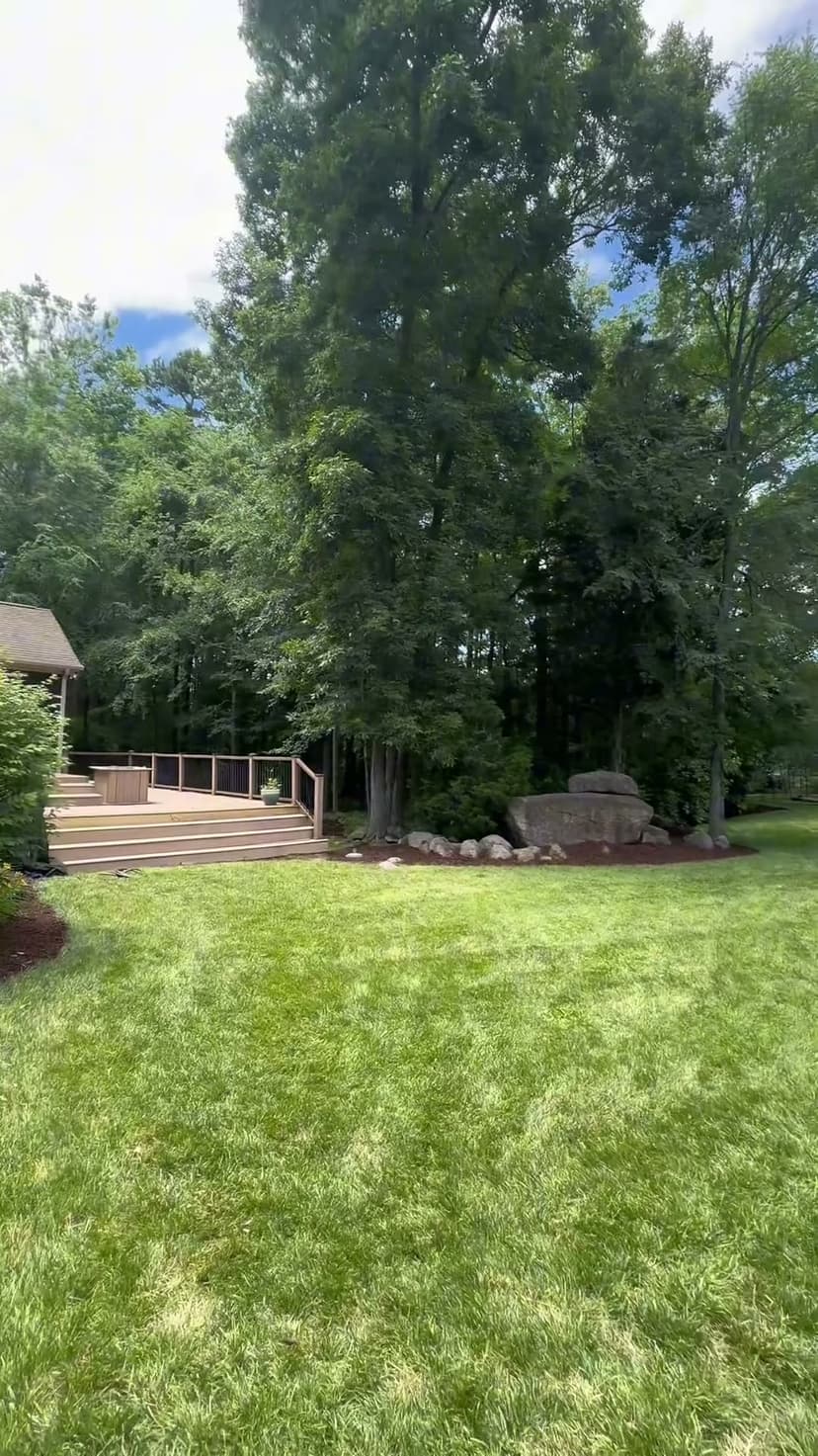 Lawn cleanup and yard care — JDP Landscaping Charlotte NC