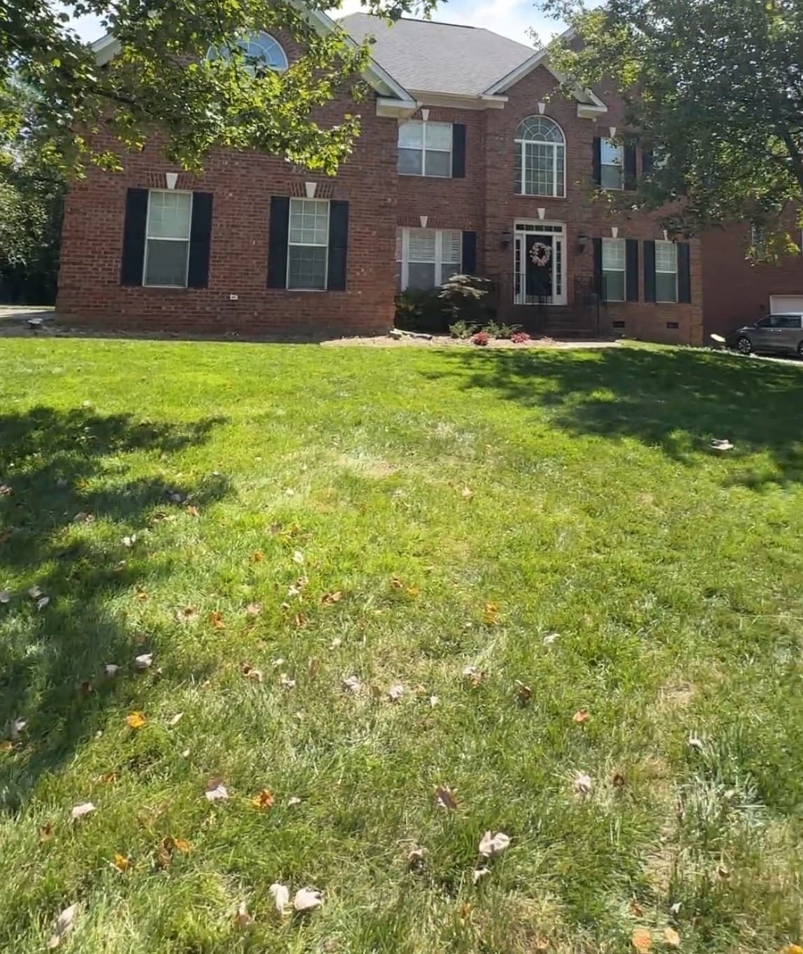 After — Removal — JDP Landscaping