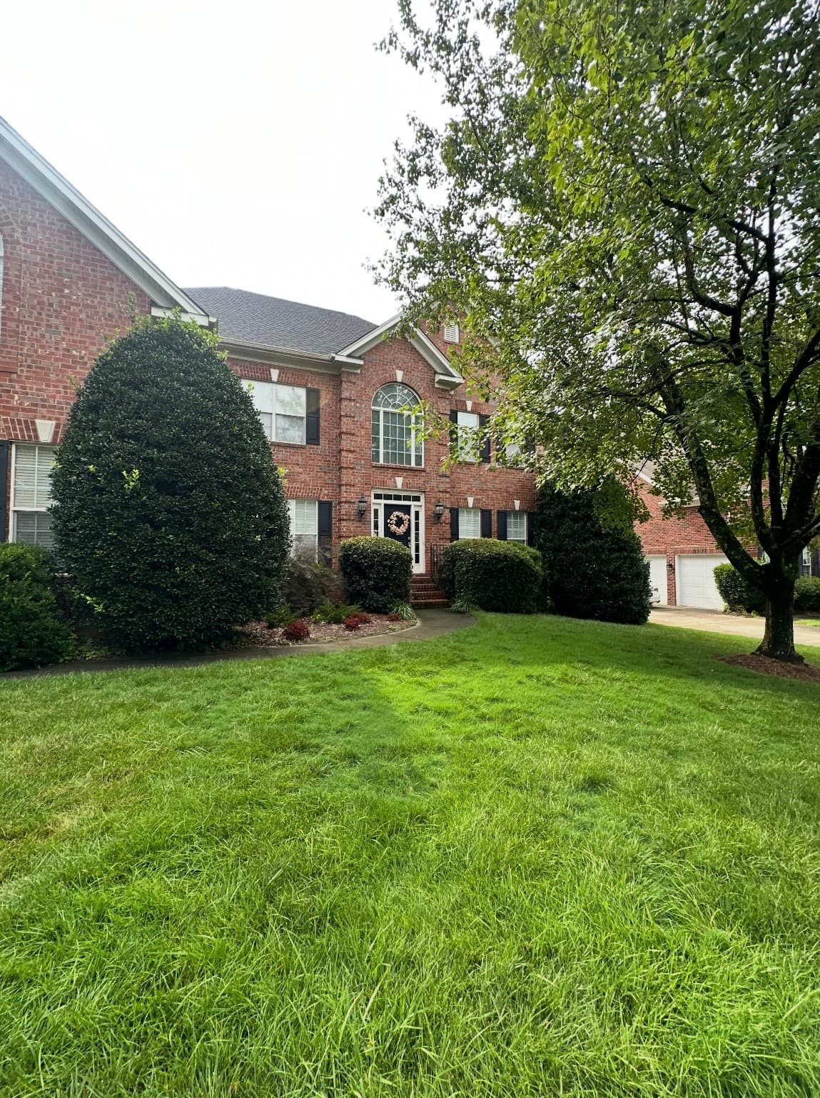 Before — Removal — JDP Landscaping