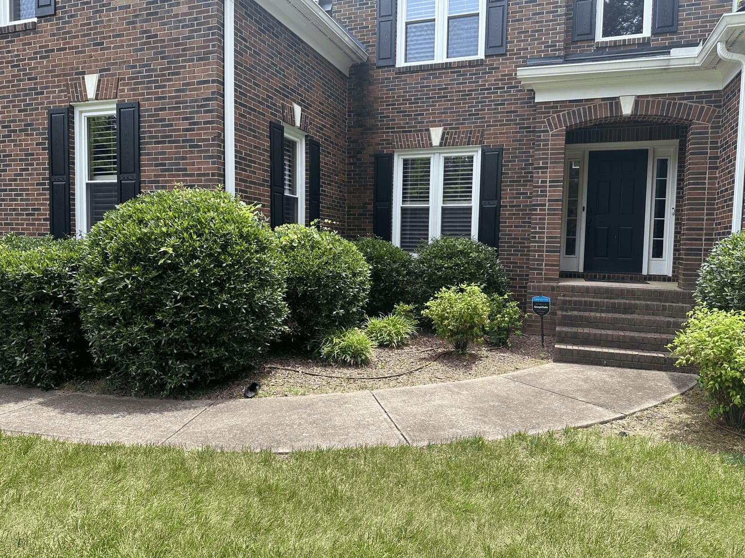 Before — Trimming — JDP Landscaping