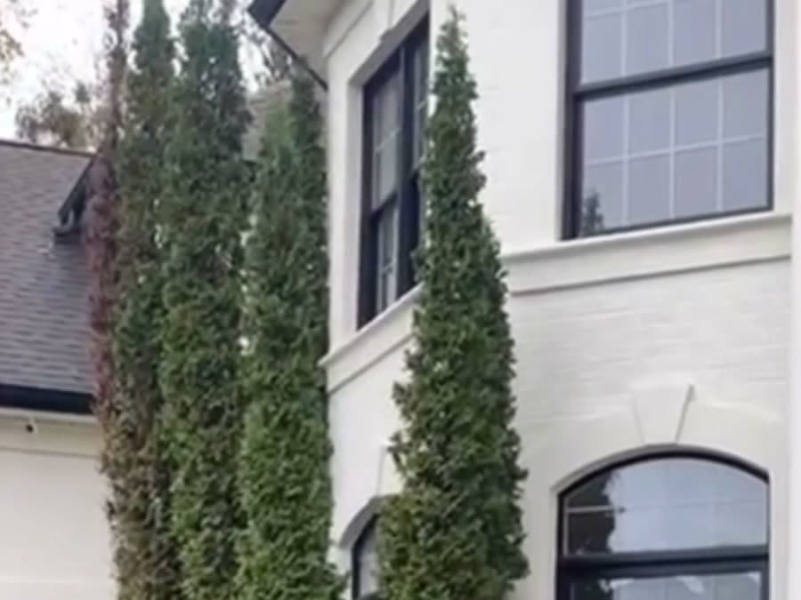 Garden planting and landscaping — JDP Landscaping Charlotte NC