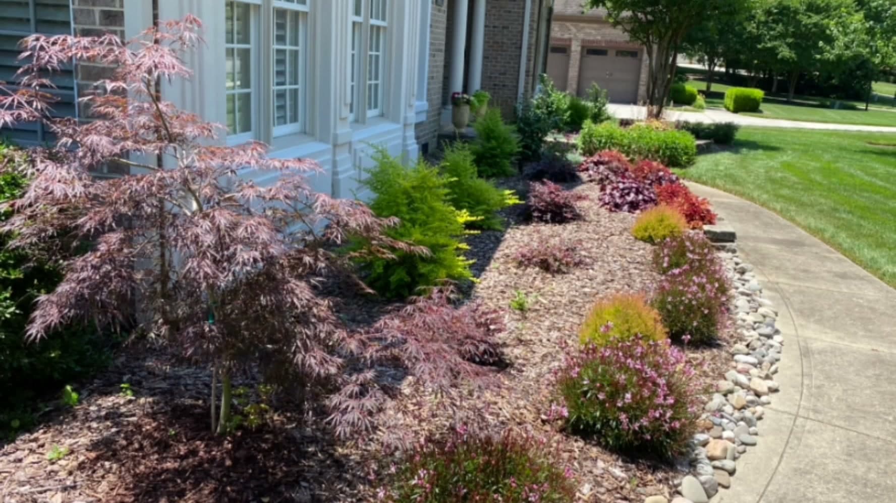 Property cleanup — JDP Landscaping Charlotte NC