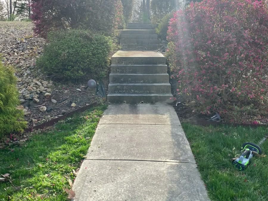 Shrub and hedge trimming — JDP Landscaping Charlotte NC